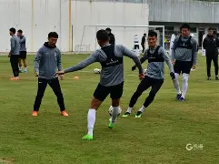 布莱顿足球俱乐部阵容