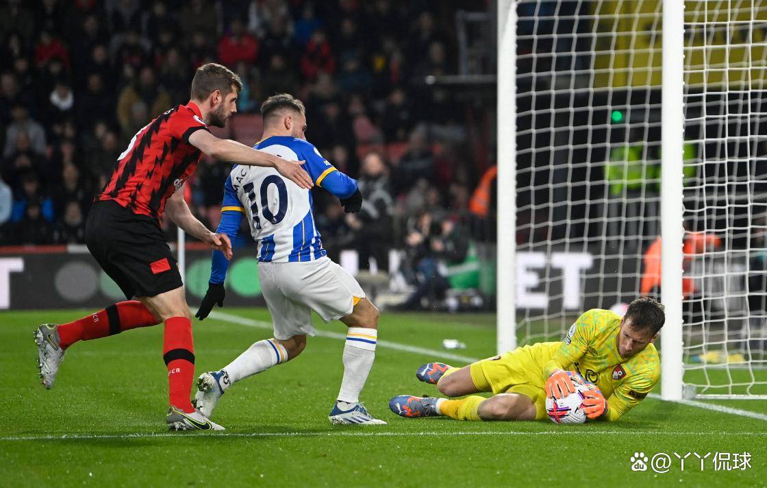 包含集结日德国杯传出新动向，本菲卡止住颓势，管理层表态——信心回归，纪律约束更严格的词条